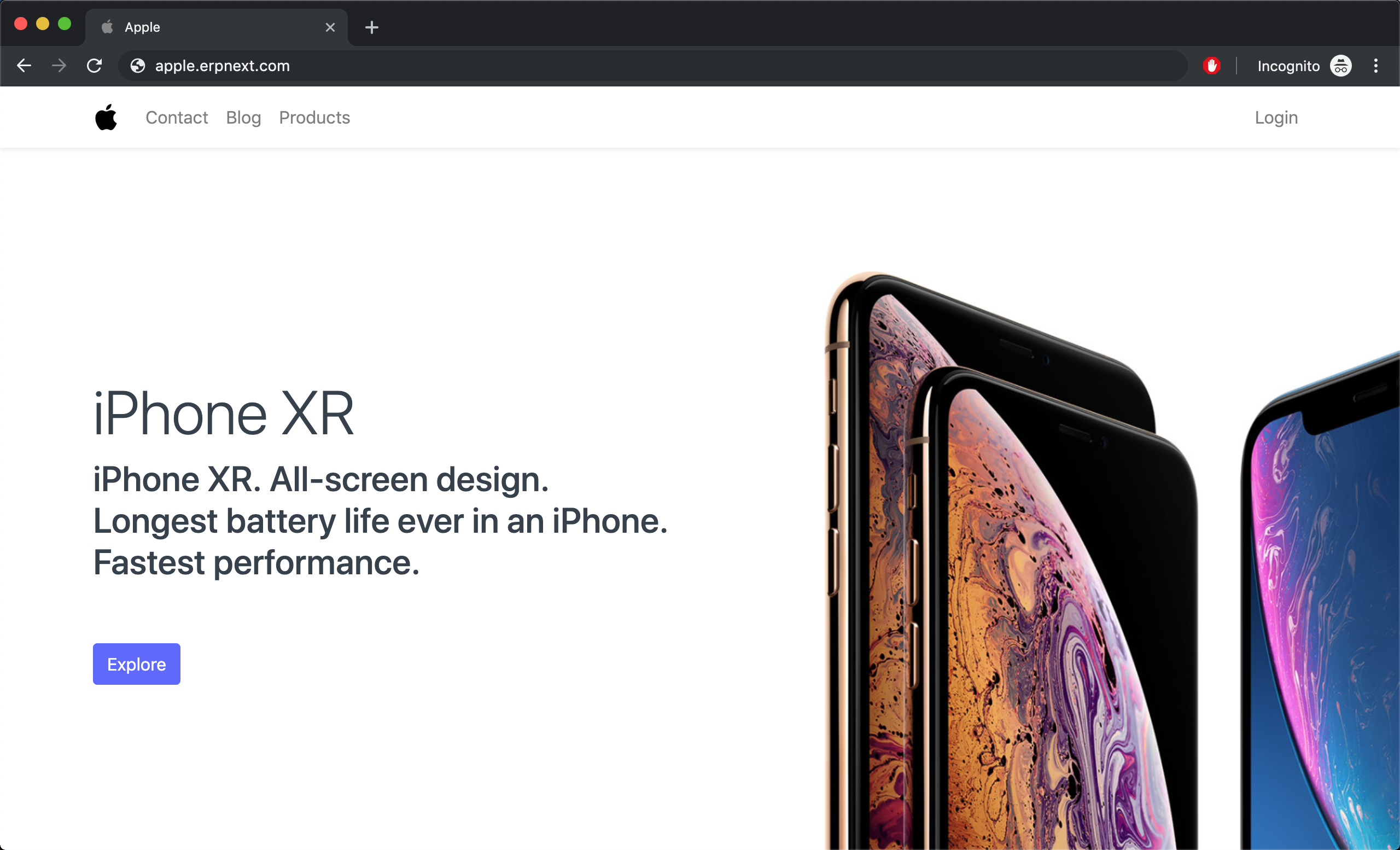 带有品牌和网站图标的网站