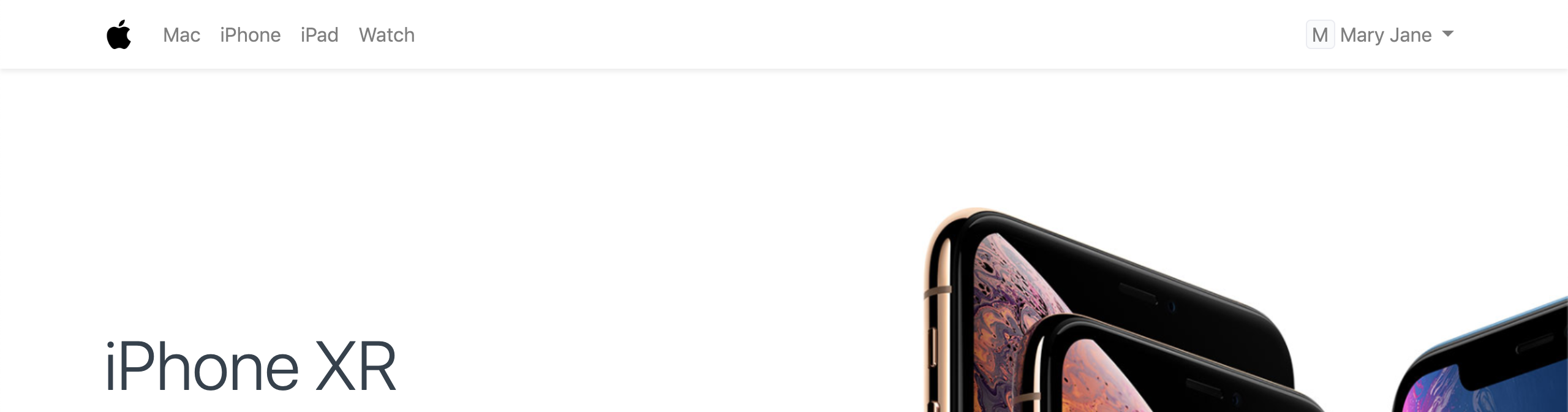 网站导航栏项目