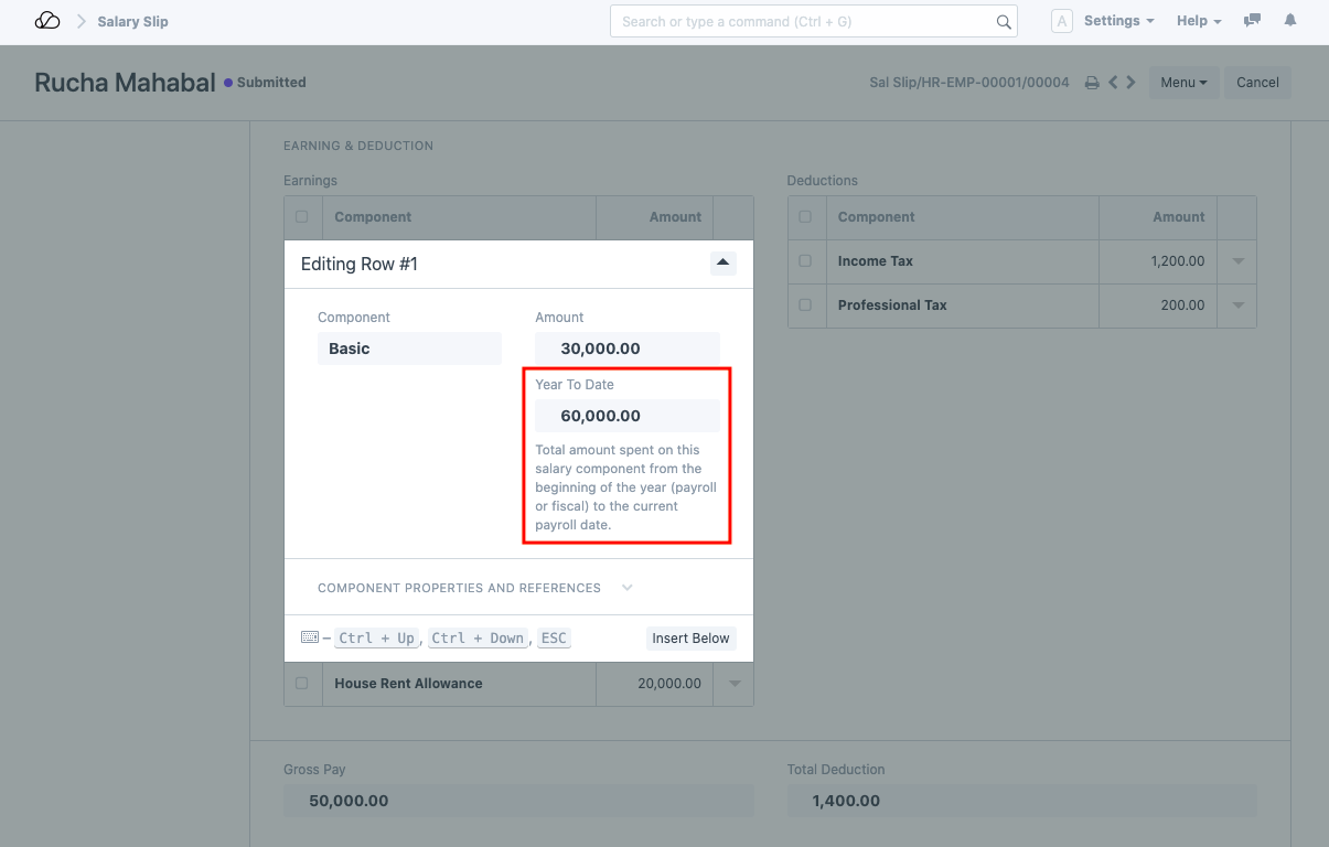 工资单组成部分的年初至今
